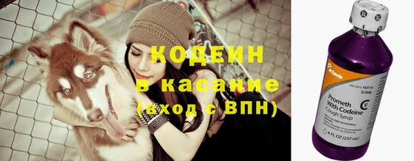 молекула духа Ижевск