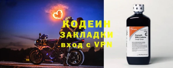 молекула духа Ижевск