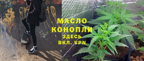 молекула духа Ижевск