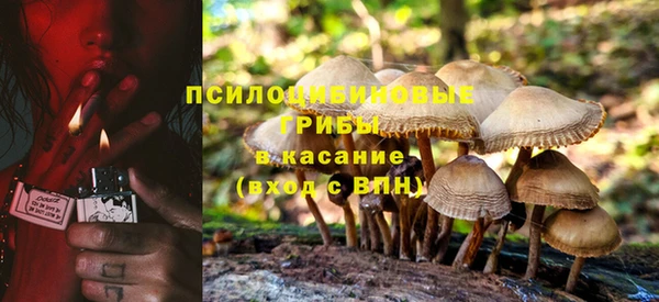 МДПВ Тольятти