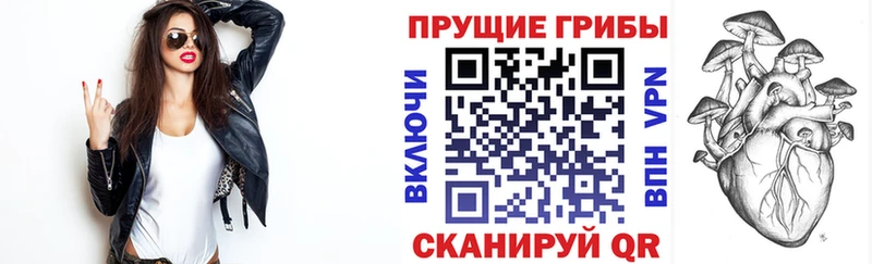 Псилоцибиновые грибы Psilocybe  Великий Новгород 