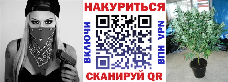 МАРИХУАНА сатива  Великий Новгород 